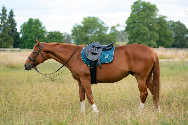 Teal Glitter Jump Saddle Pad