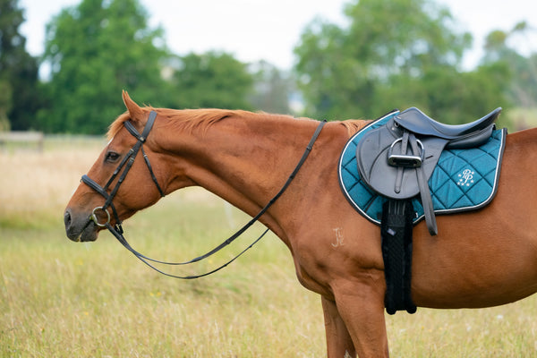 Teal Glitter Jump Saddle Pad