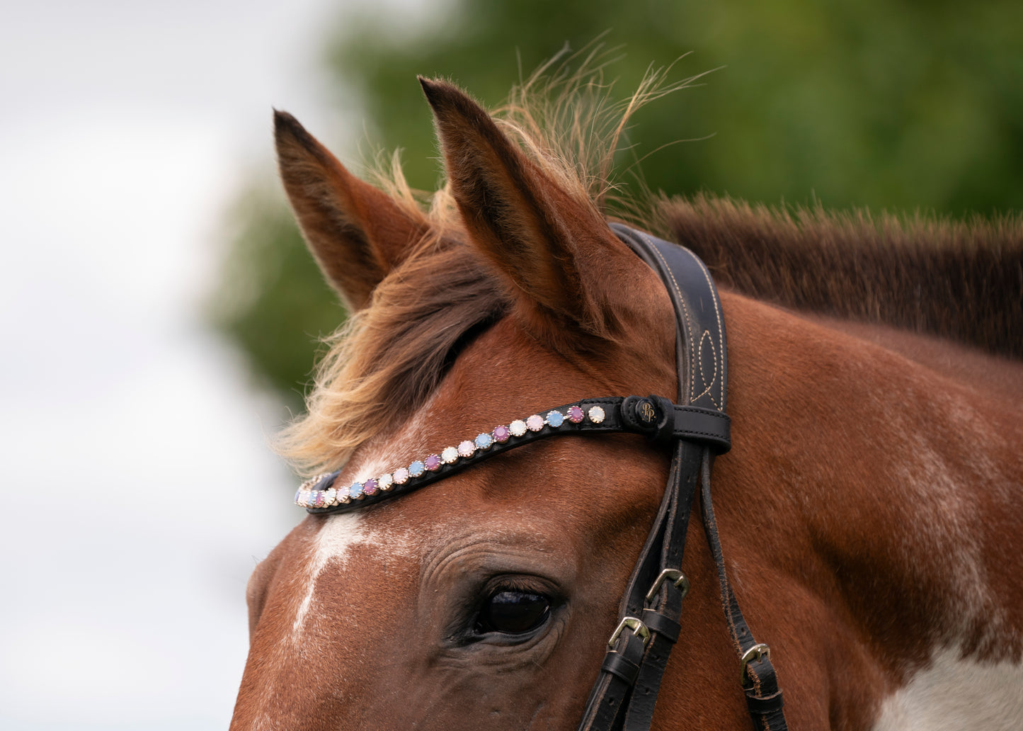 "Delphi" Premium Bling Browbands