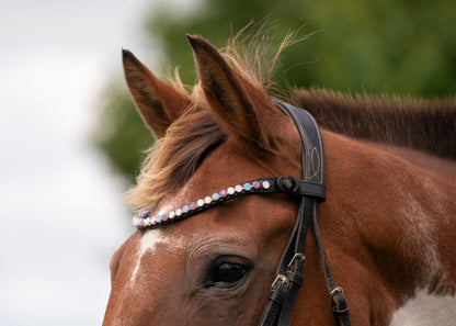 "Delphi" Premium Bling Browbands