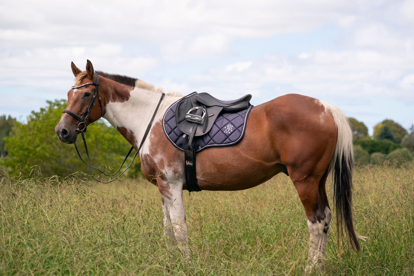 Navy Glitter Jump Saddle Pad