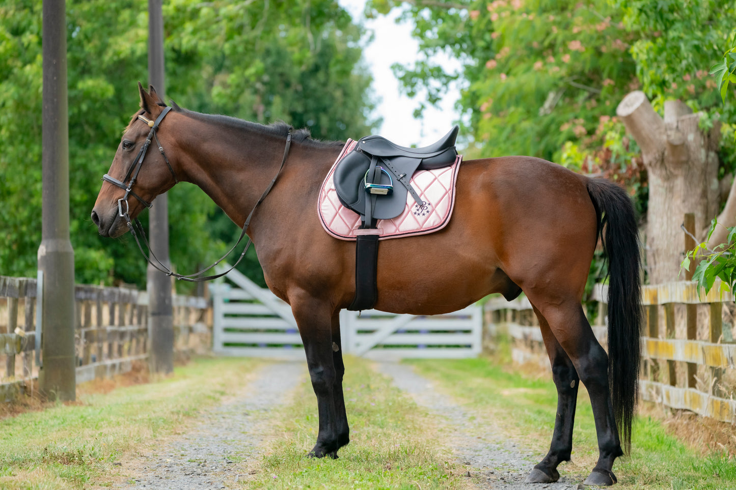 Blush Pink Satin Saddle Pads - Jump, GP, and Dressage cuts