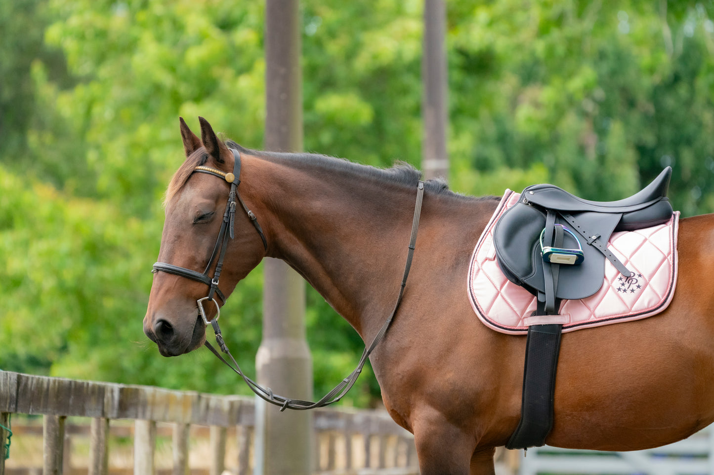 Blush Pink Satin Saddle Pads - Jump, GP, and Dressage cuts