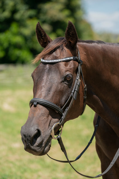 "Ronnie" Premium Bling Browbands