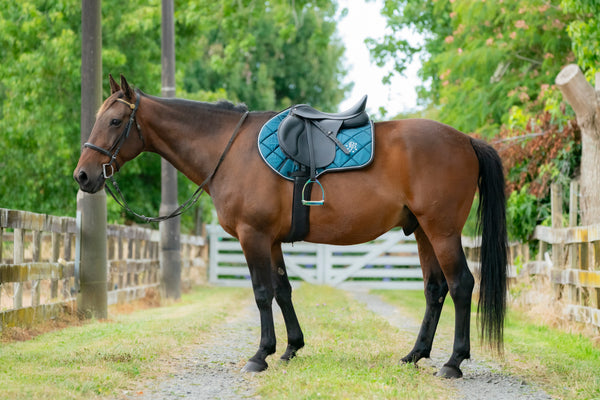Teal Glitter Jump Saddle Pad