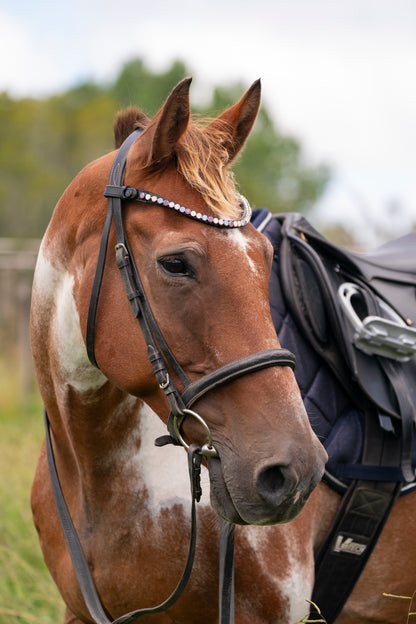 "Delphi" Premium Bling Browbands