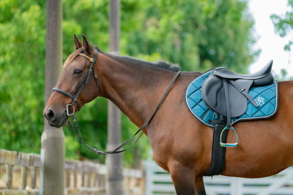Teal Glitter Jump Saddle Pad