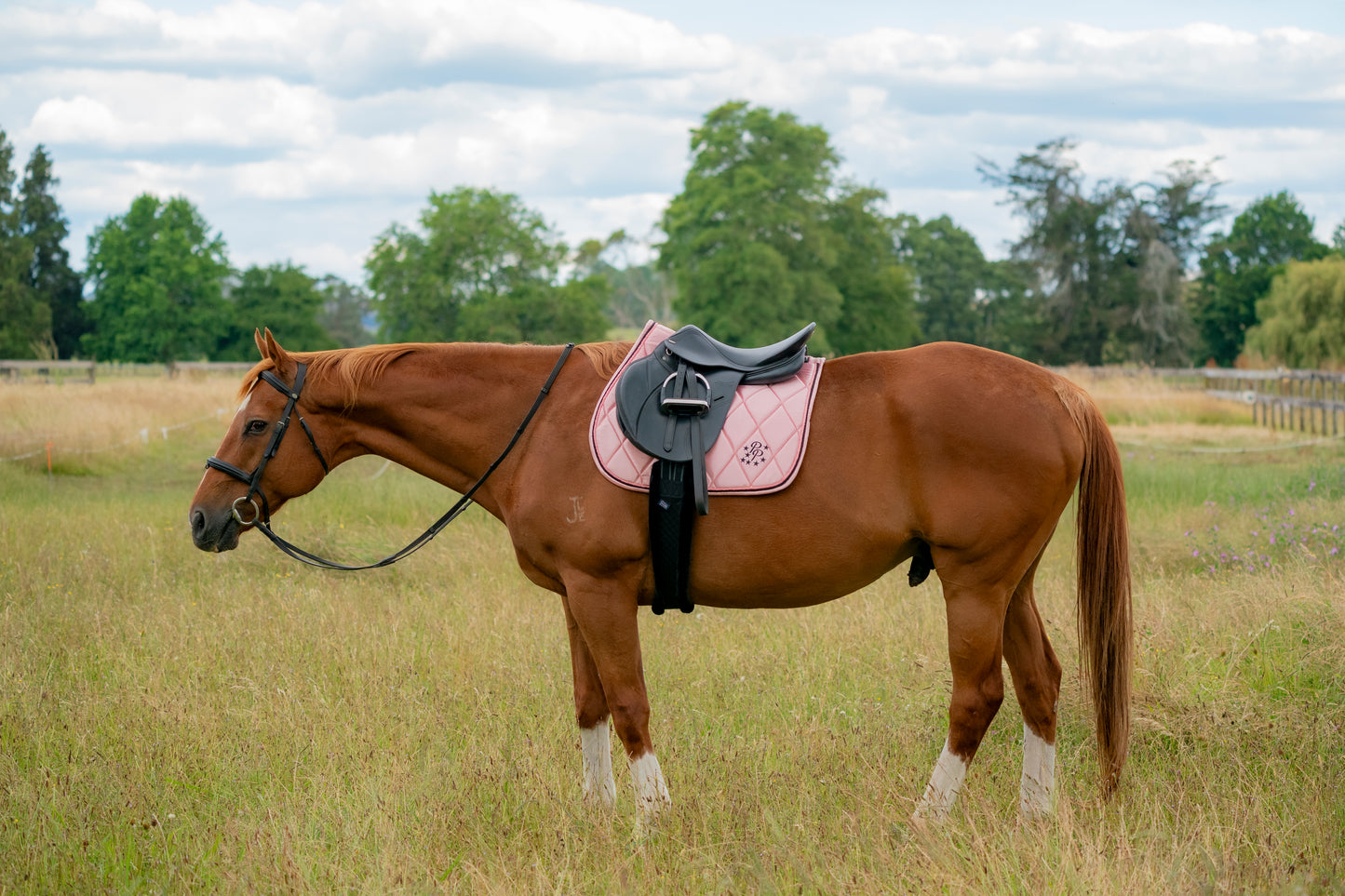 Blush Pink Satin Saddle Pads - Jump, GP, and Dressage cuts