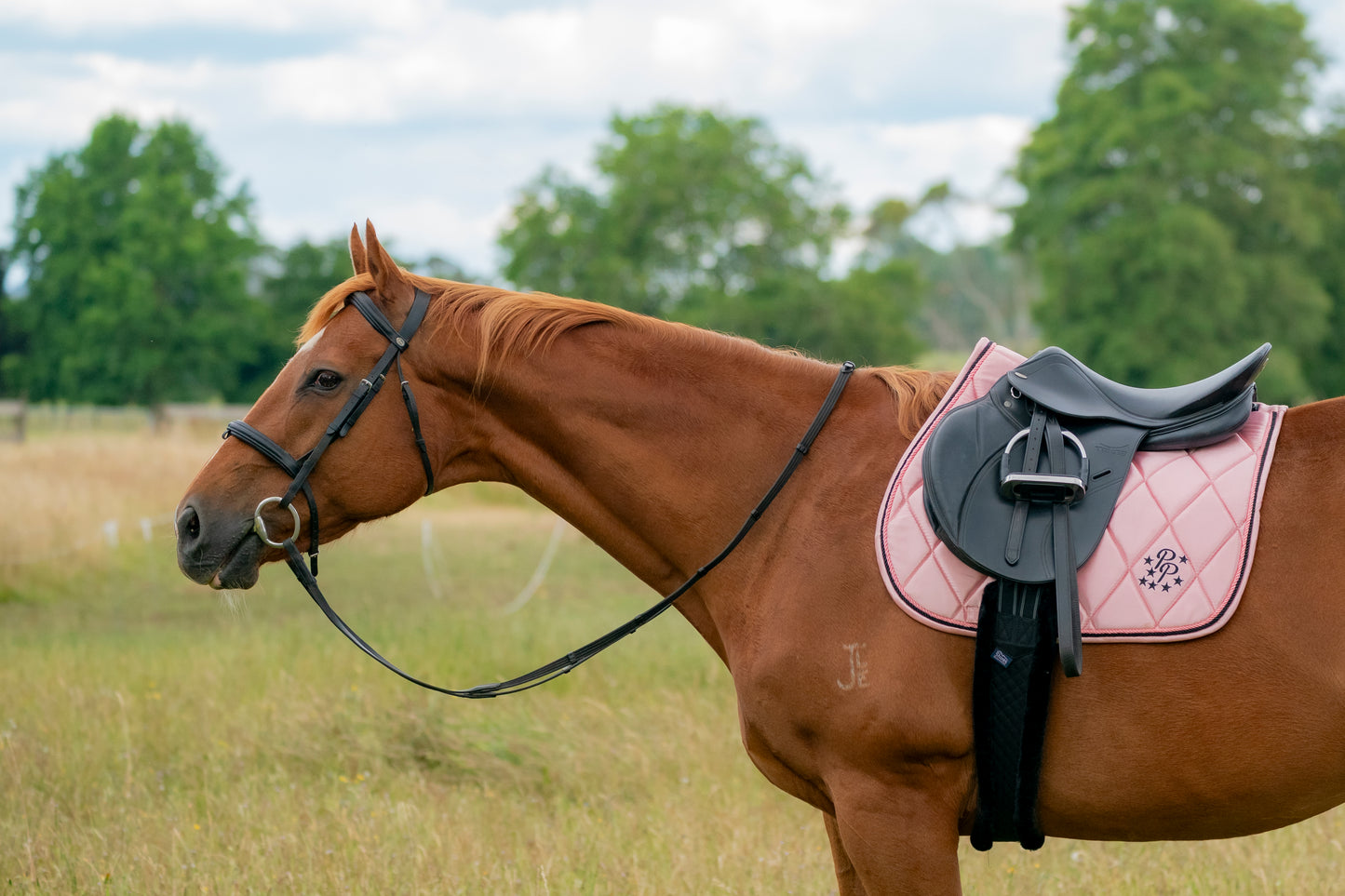 Blush Pink Satin Saddle Pads - Jump, GP, and Dressage cuts