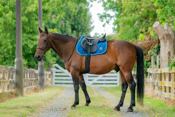 Topaz/Turquoise Saddle Pads - Jump, GP, and Dressage cuts