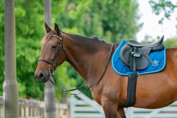 Topaz/Turquoise Saddle Pads - Jump, GP, and Dressage cuts