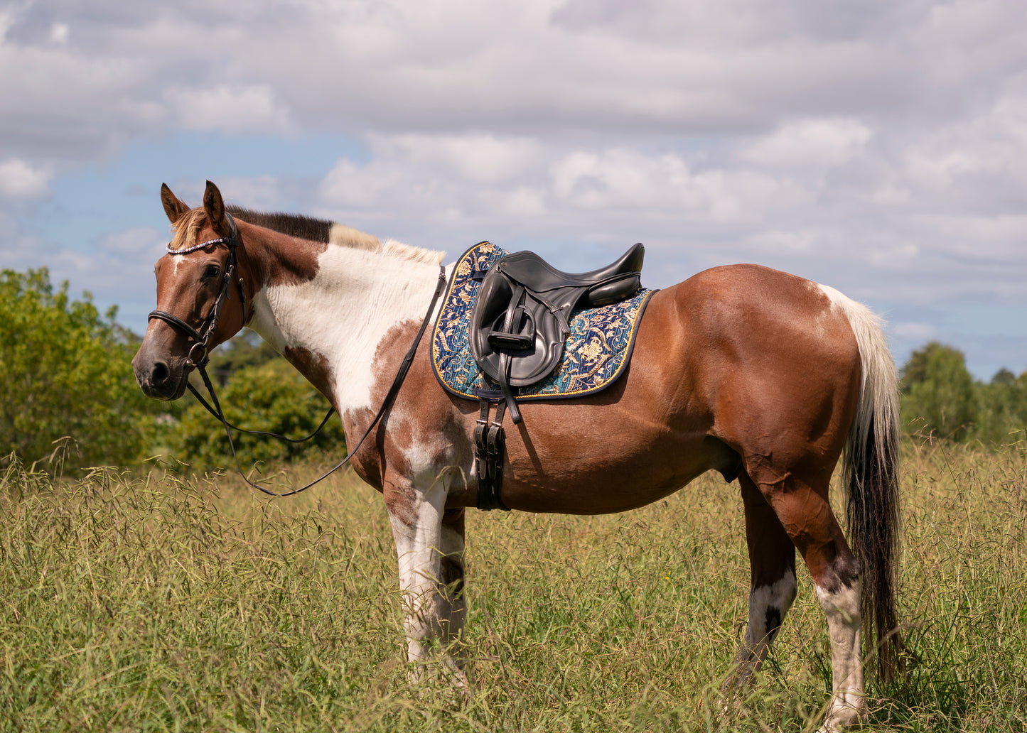 Turquoise Jacquard Saddle Pads - Jump and Dressage Cuts