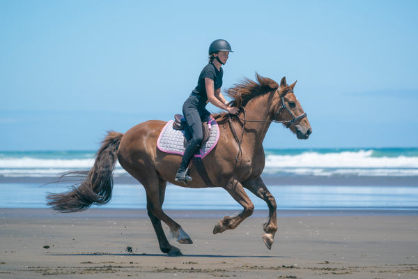 Pink/Grey Saddle Pads - Jump, GP, and Dressage cuts