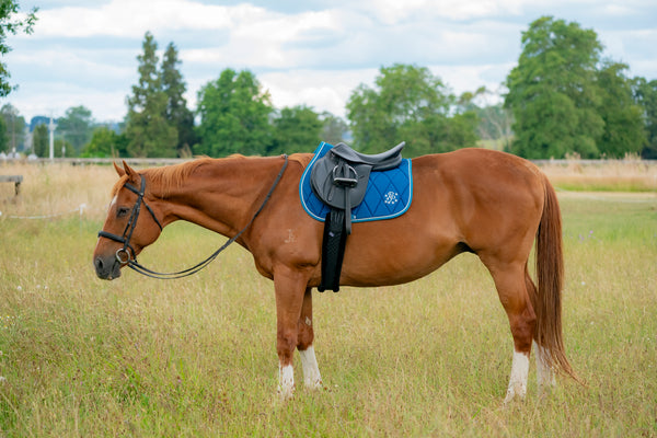 Topaz/Turquoise Saddle Pads - Jump, GP, and Dressage cuts