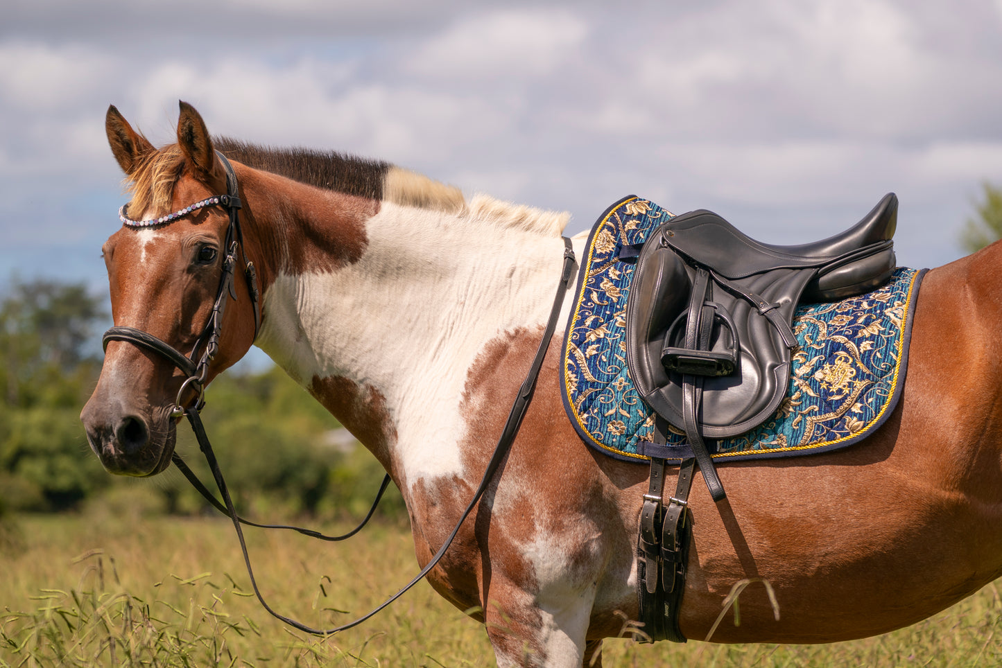 Turquoise Jacquard Saddle Pads - Jump and Dressage Cuts