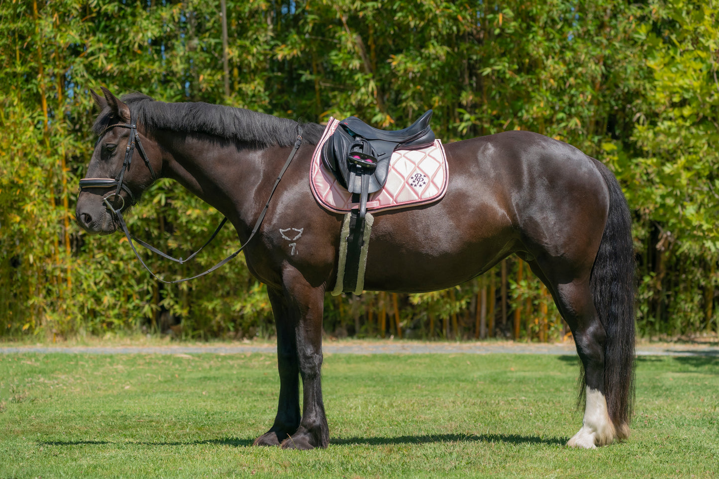 Blush Pink Satin Saddle Pads - Jump, GP, and Dressage cuts
