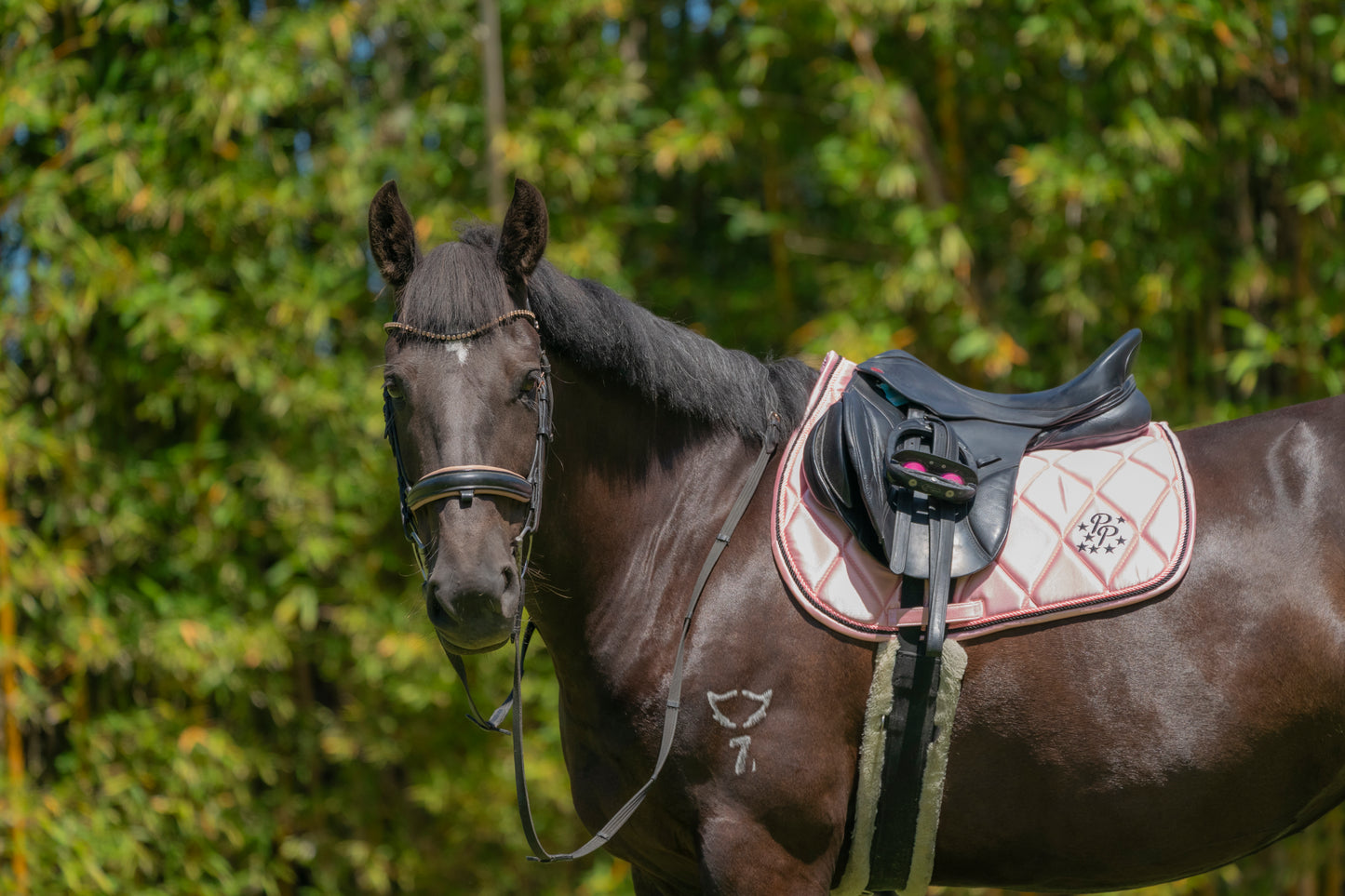 Blush Pink Satin Saddle Pads - Jump, GP, and Dressage cuts