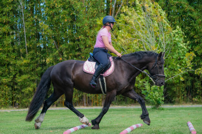 Blush Pink Satin Saddle Pads - Jump, GP, and Dressage cuts