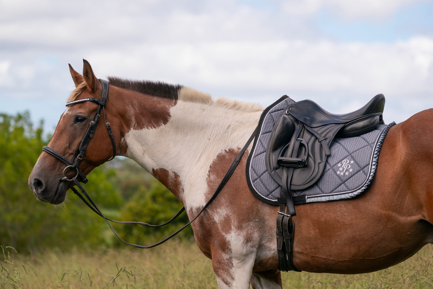 Limited Edition Pepper Ruffles Dressage Pad