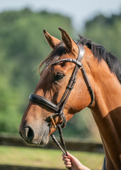 "Delphi" Premium Bling Browbands