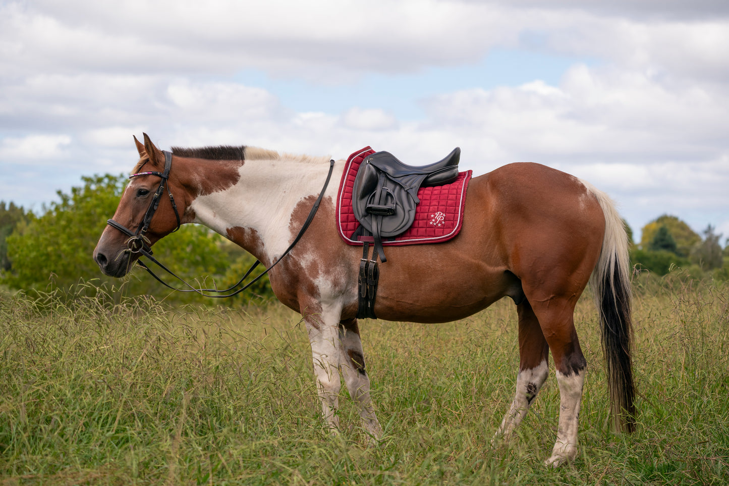 "Merlot" Burgundy Suede Dressage Pad