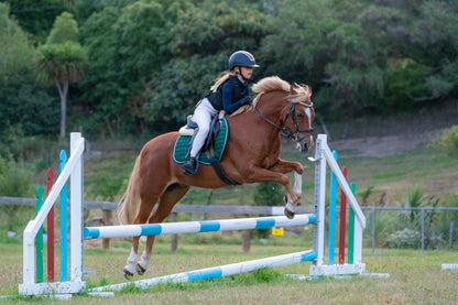 Hunter Green Saddle Pads - Jump, GP, and Dressage cuts