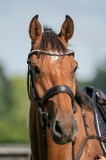 "Delphi" Premium Bling Browbands