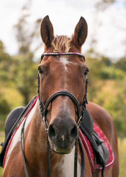 "Ronnie" Premium Bling Browbands