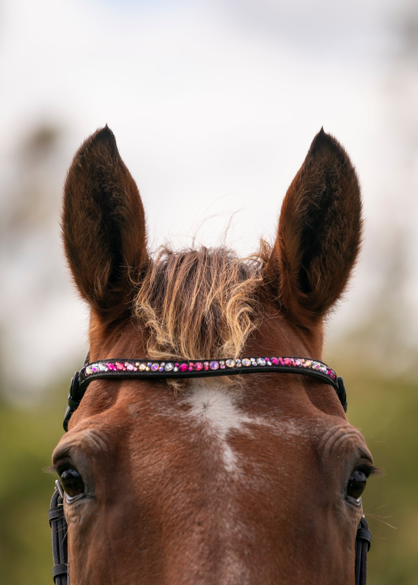 "Ronnie" Premium Bling Browbands