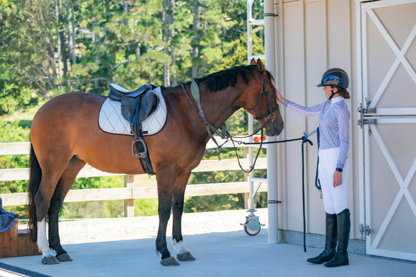 Silver Glitter Saddle Pads - Jump, GP, and Dressage cuts