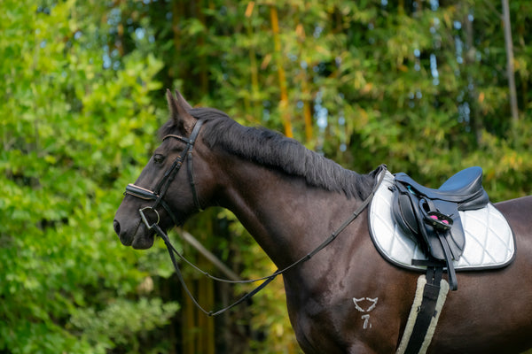 Silver Glitter Saddle Pads - Jump, GP, and Dressage cuts