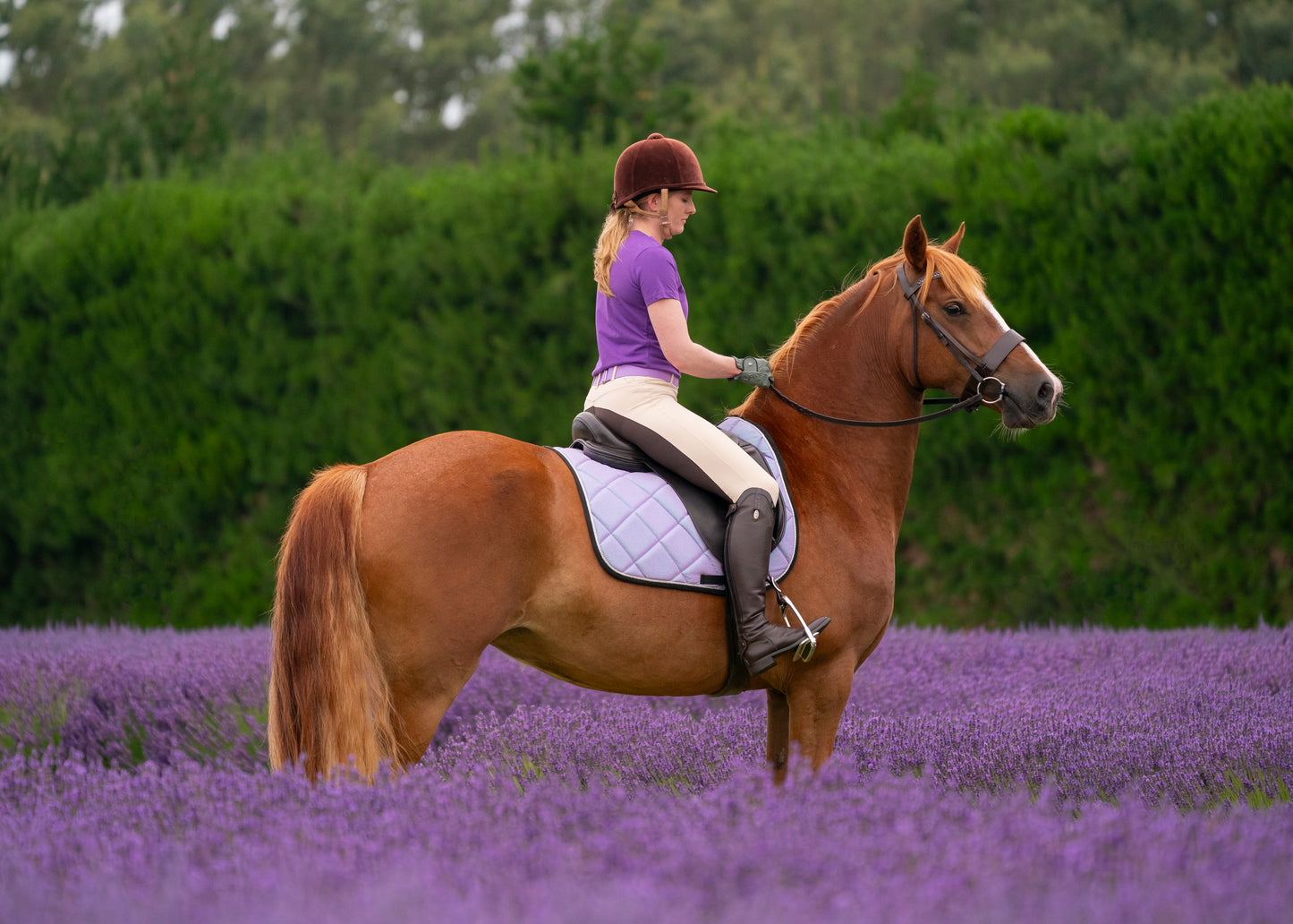 Mermaid Glitter Saddle Pads - Jump, GP, and Dressage cuts