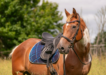 Galaxy Colour Changing Saddle Pads - Jump, GP, and Dressage cuts