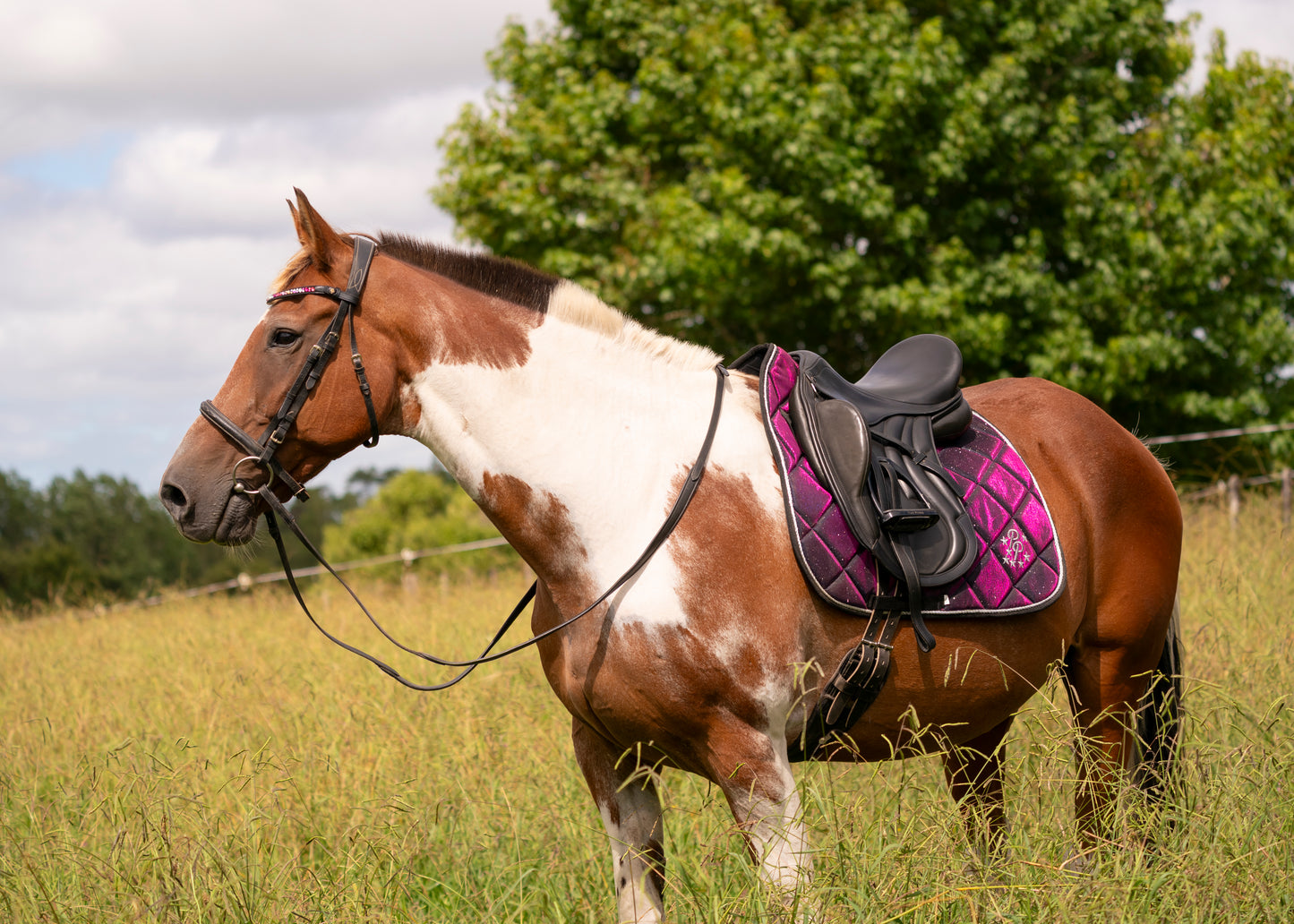 Galaxy Colour Changing Saddle Pads - Jump, GP, and Dressage cuts