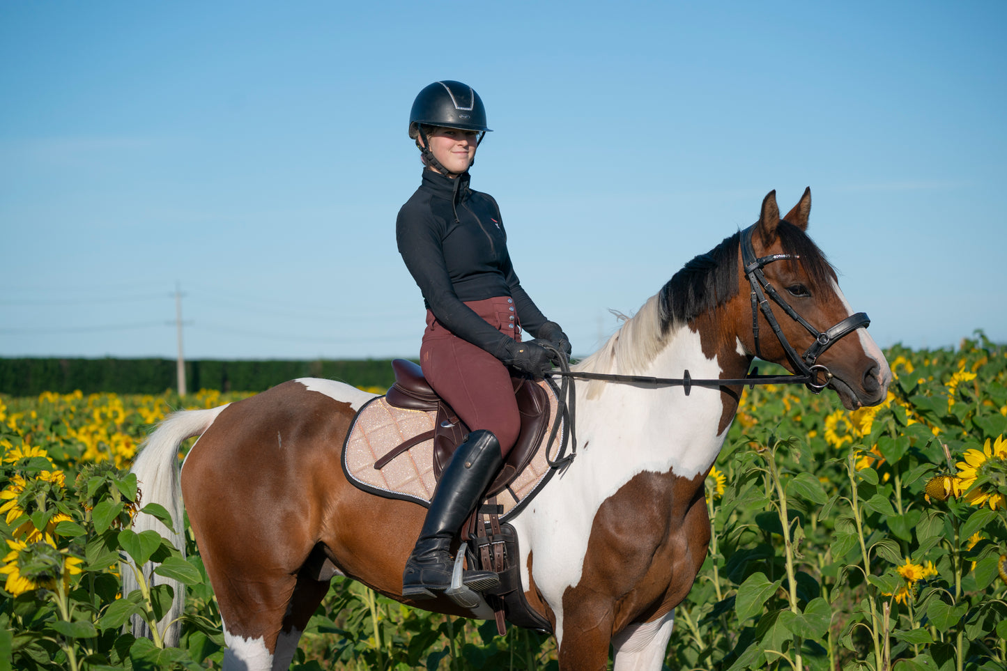 Tropical Sunset Colour Changing Saddle Pads - Jump, GP, and Dressage cuts