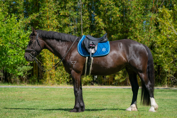 Topaz/Turquoise Saddle Pads - Jump, GP, and Dressage cuts