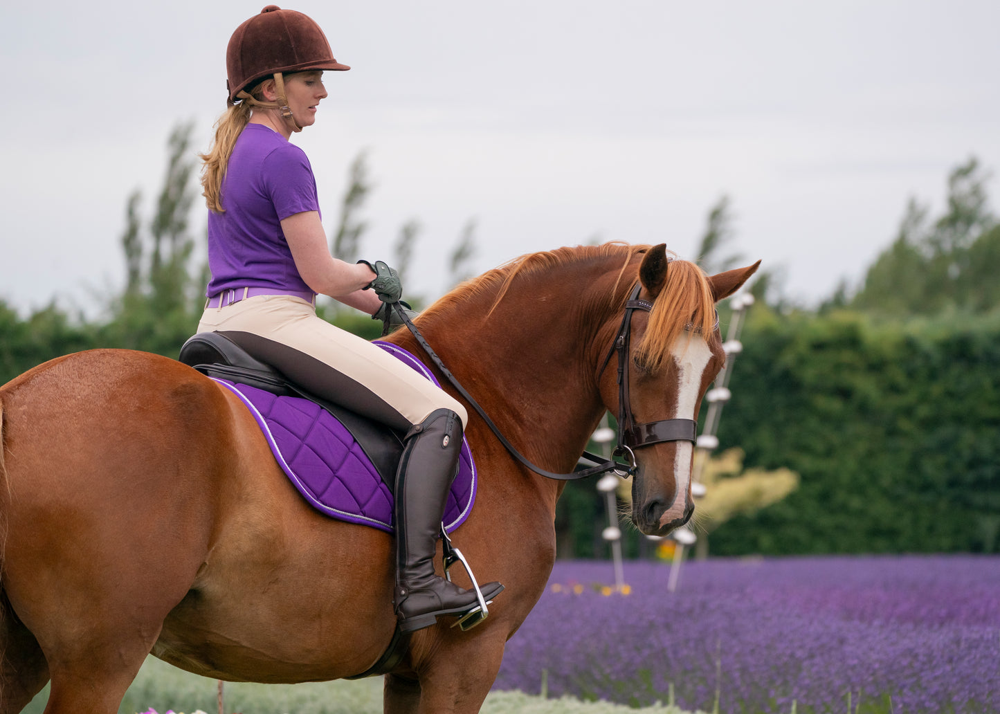 Amethyst Purple Punk Ponies Shirts