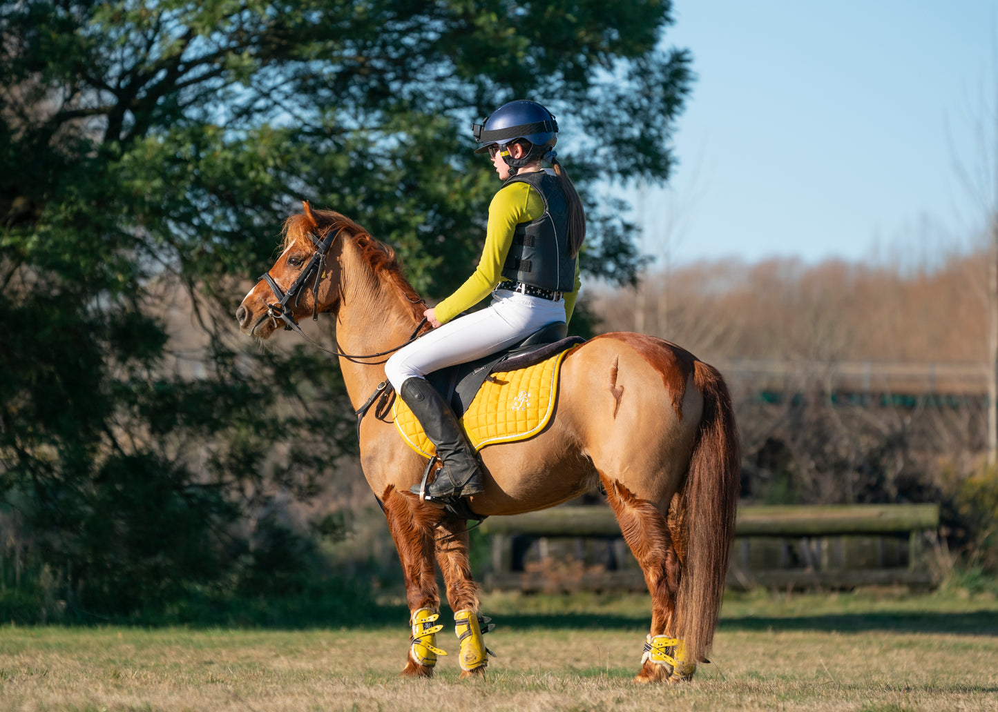 Sunflower/Silver Yellow Saddle Pads - Jump, GP, and Dressage cuts