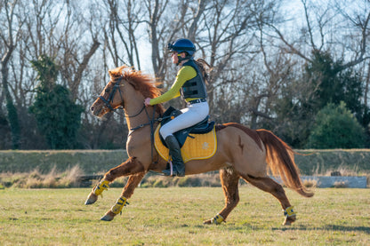 Sunflower/Silver Yellow Saddle Pads - Jump, GP, and Dressage cuts