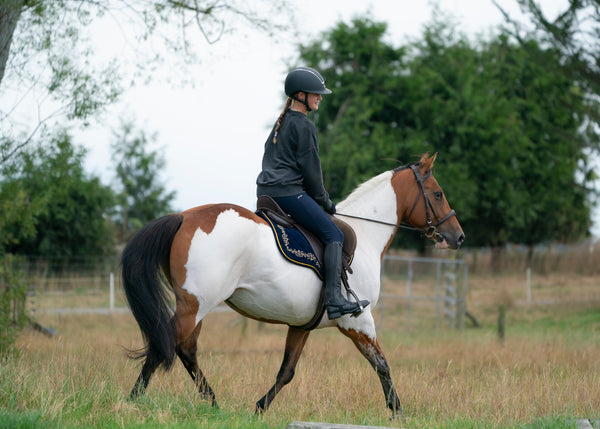 Navy Velvet Baroque Saddle Pads - GP, Jump, and Dressage Cuts