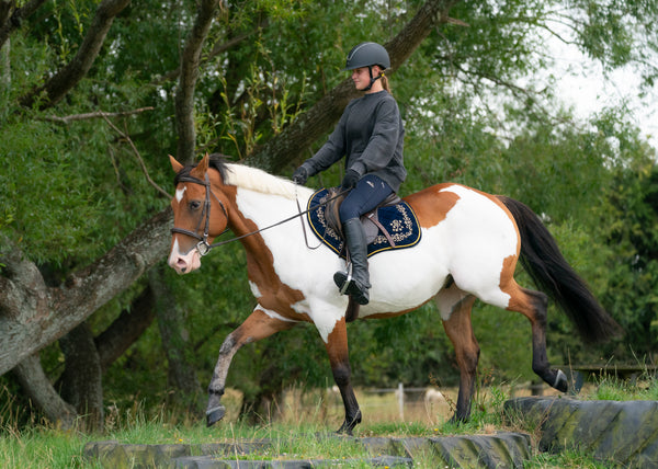 Navy Velvet Baroque Saddle Pads - GP, Jump, and Dressage Cuts