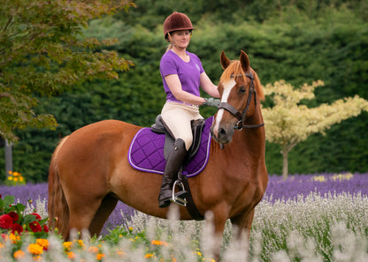 Amethyst Purple Punk Ponies Shirts