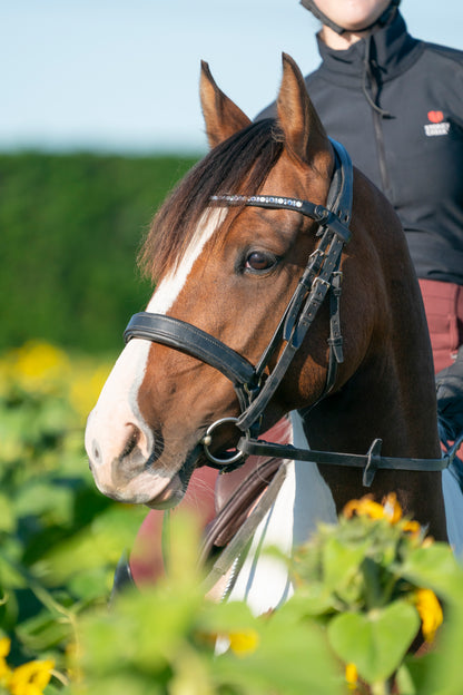 "Ronnie" Premium Bling Browbands