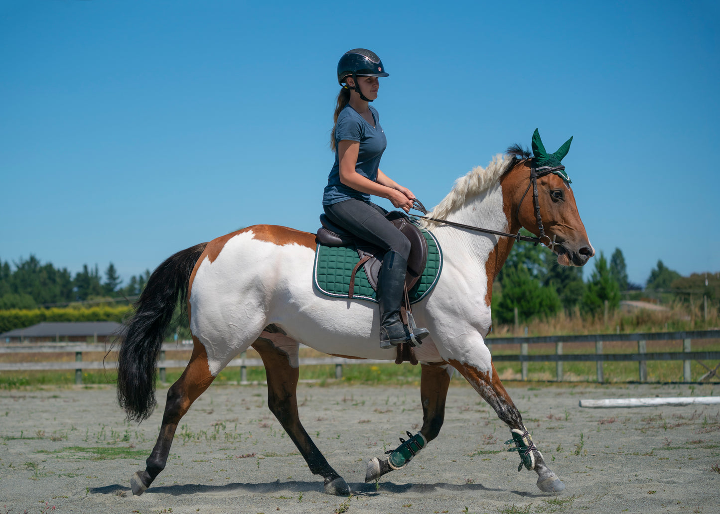 Hunter Green Saddle Pads - Jump, GP, and Dressage cuts