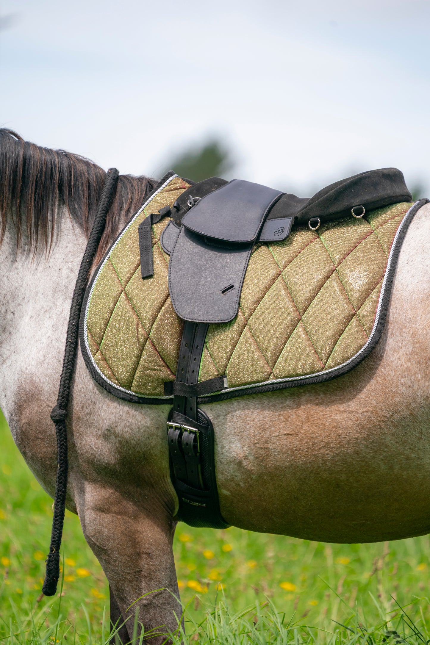 Aurora Colour Changing Saddle Pads - Jump, GP, and Dressage cuts