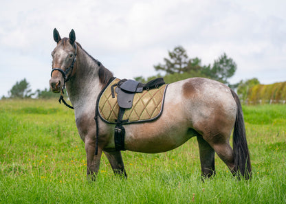 Aurora Colour Changing Saddle Pads - Jump, GP, and Dressage cuts