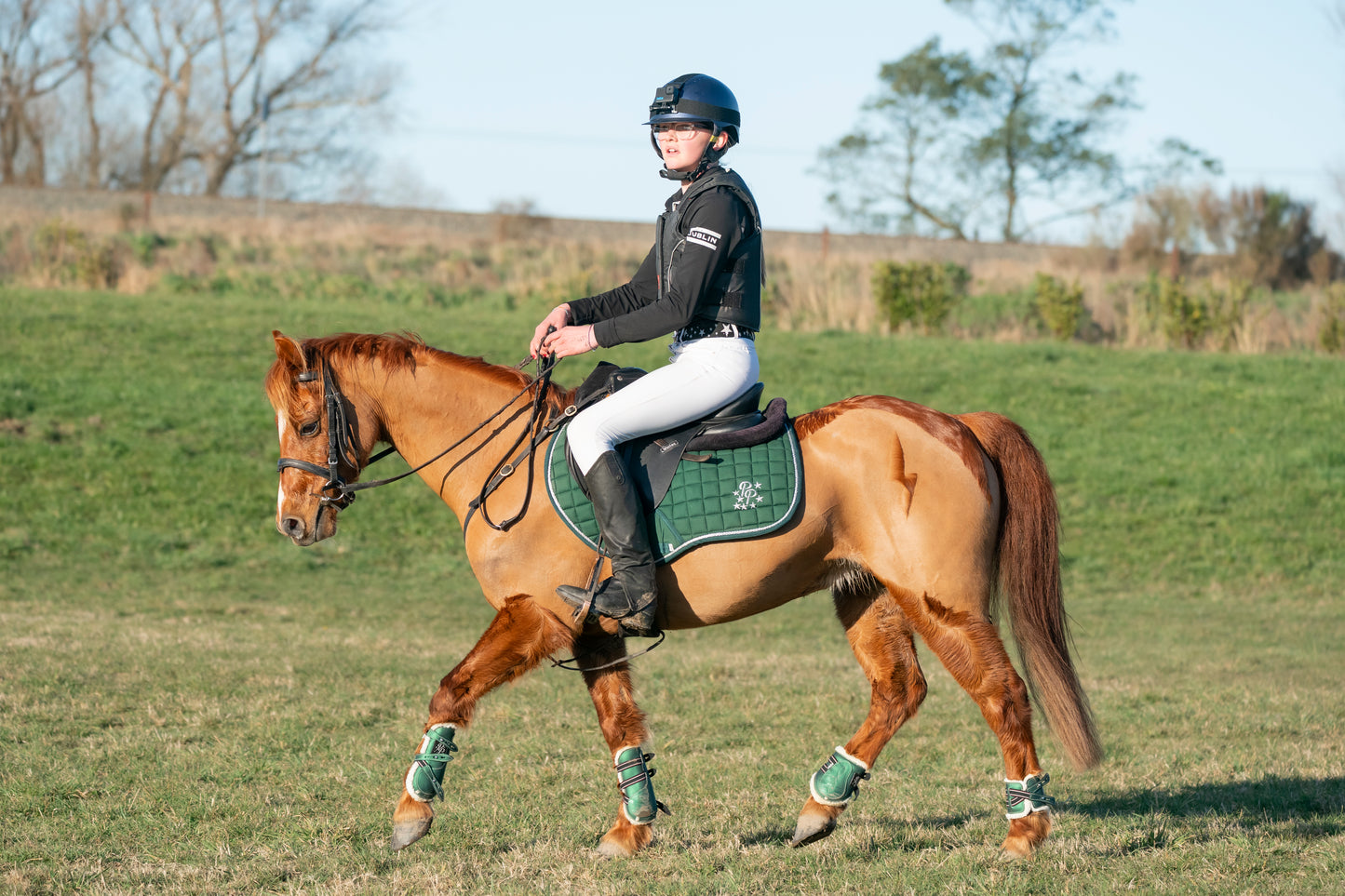 Hunter Green Saddle Pads - Jump, GP, and Dressage cuts