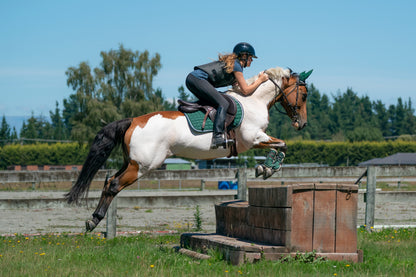 Hunter Green Saddle Pads - Jump, GP, and Dressage cuts