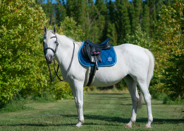 Topaz/Turquoise Saddle Pads - Jump, GP, and Dressage cuts