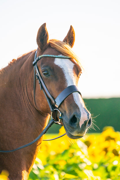 Colour Changing Premium Bling Browbands